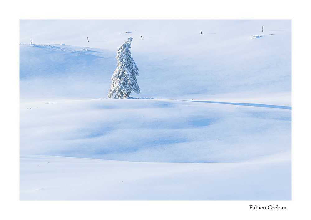 photographie de paysage hivernal sur les sommets du massif du Jura