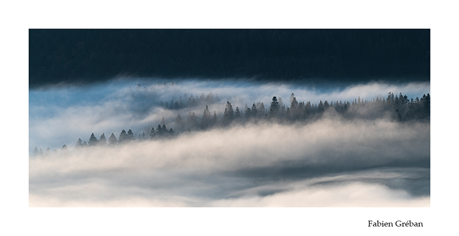 photo de paysage de foret jurassienne dans la brume