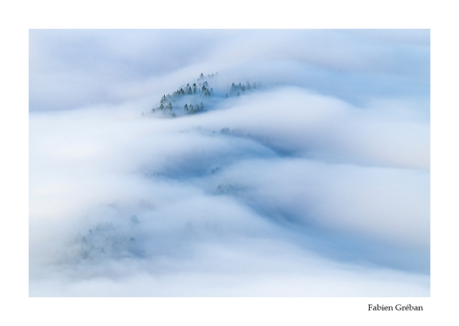 photo de paysage de mer de brouillard