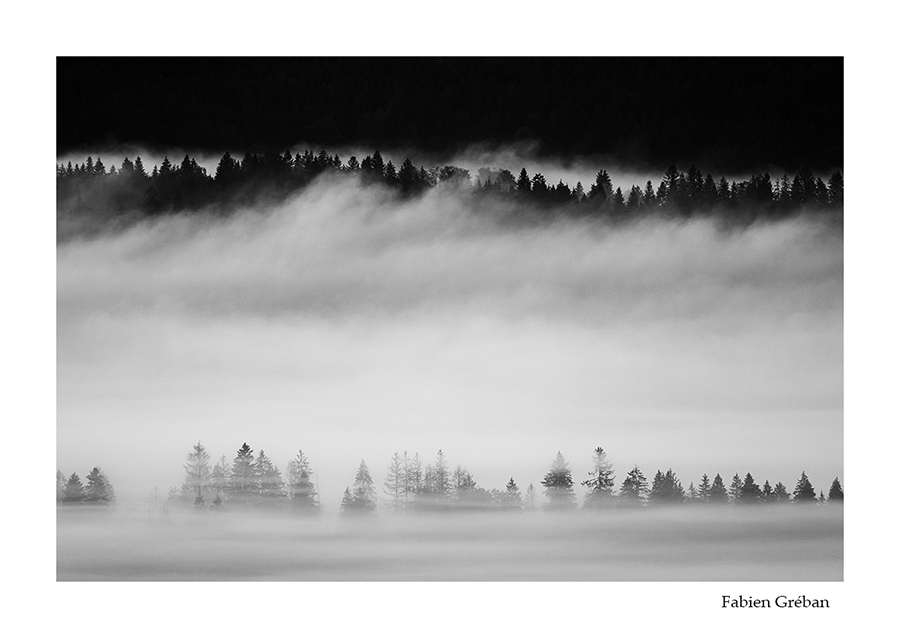 photo de paysage des forets du jura dans la brume