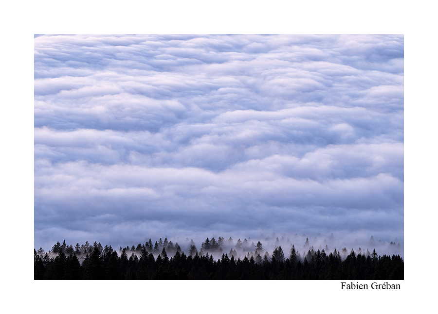 paysage de mer de nuage sur les crêtes du Jura