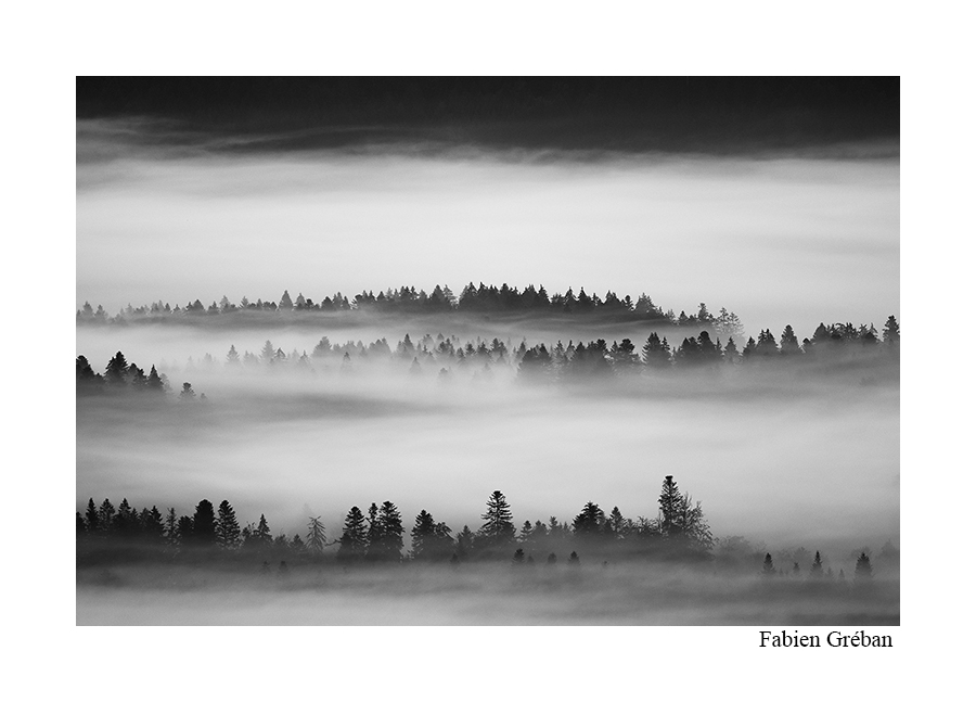 photo de paysage de brume