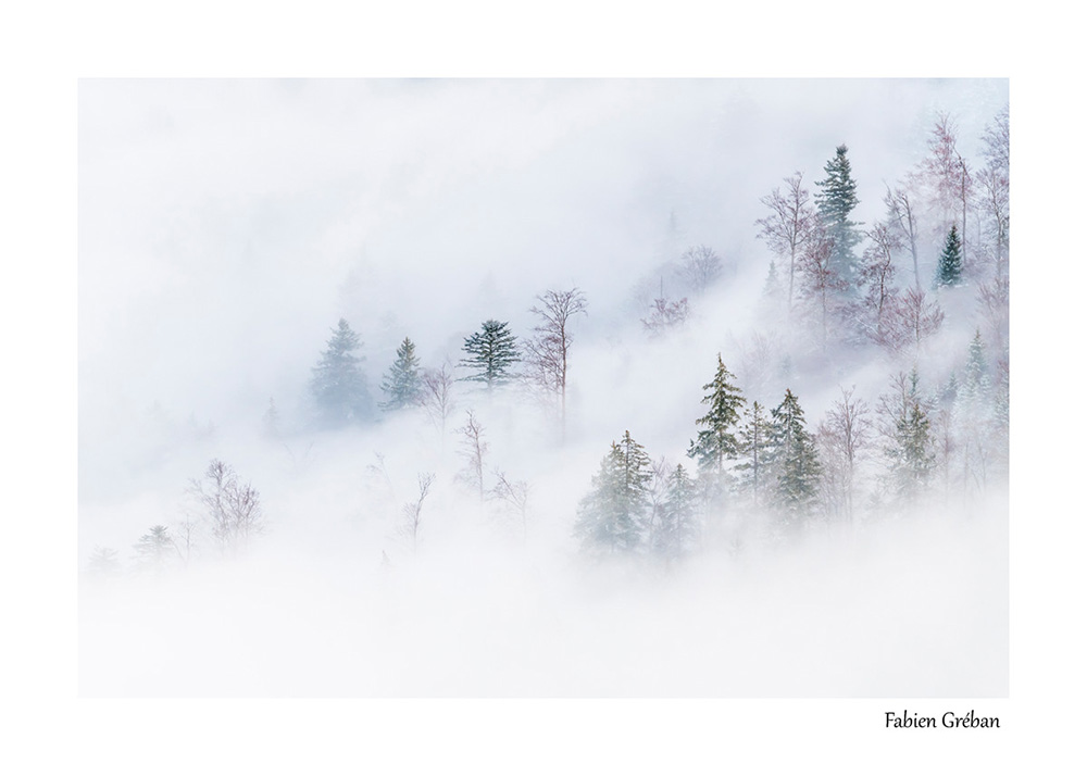 photographie de paysage de foret en hiver dans le massif du jura