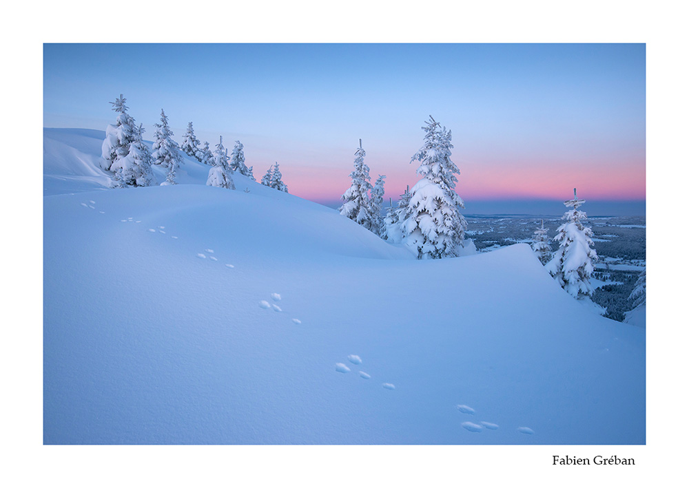 photographie de paysage hivernal sur la haute chaine du massif du Jura
