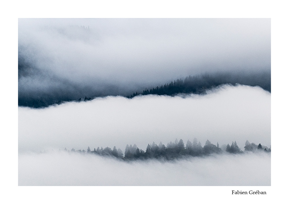 photographie de paysage de foret dans la brume dans le massif du jura
